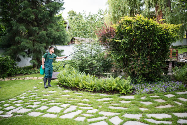 Best Local Pest Control Services  in Emerald Lakes, PA