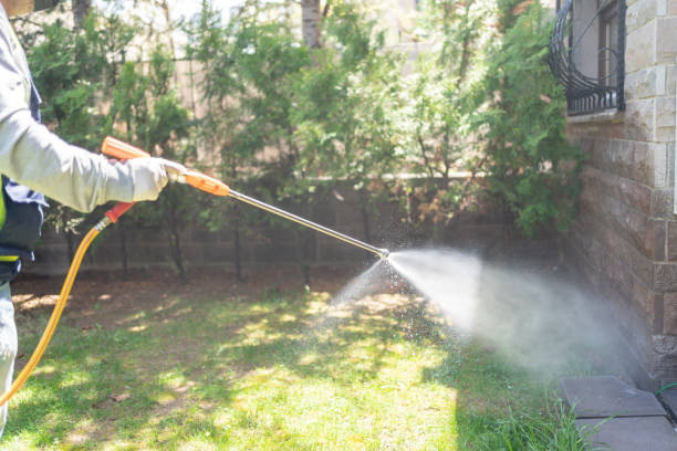 Best Wasp Removal Services  in Emerald Lakes, PA
