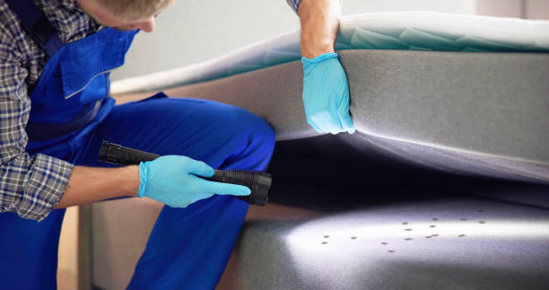 Best Exterminator Services  in Emerald Lakes, PA