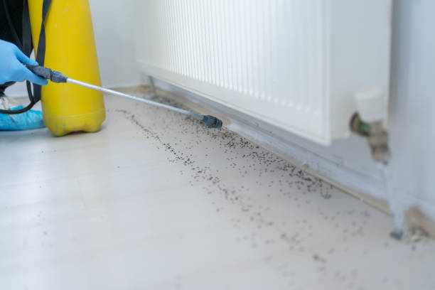 Best Pest Control Near Me in Emerald Lakes, PA